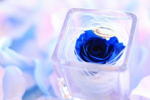 たった3ヶ月で不倫相手の彼からプロポーズされる方法